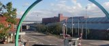 Celanese Acetates