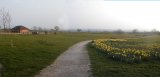 Dale Road Park