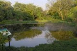 West Meadows Pond