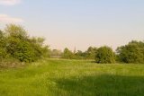 View of St Werburgh's spire from the West Meadows LNR
