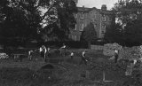 The Homestead