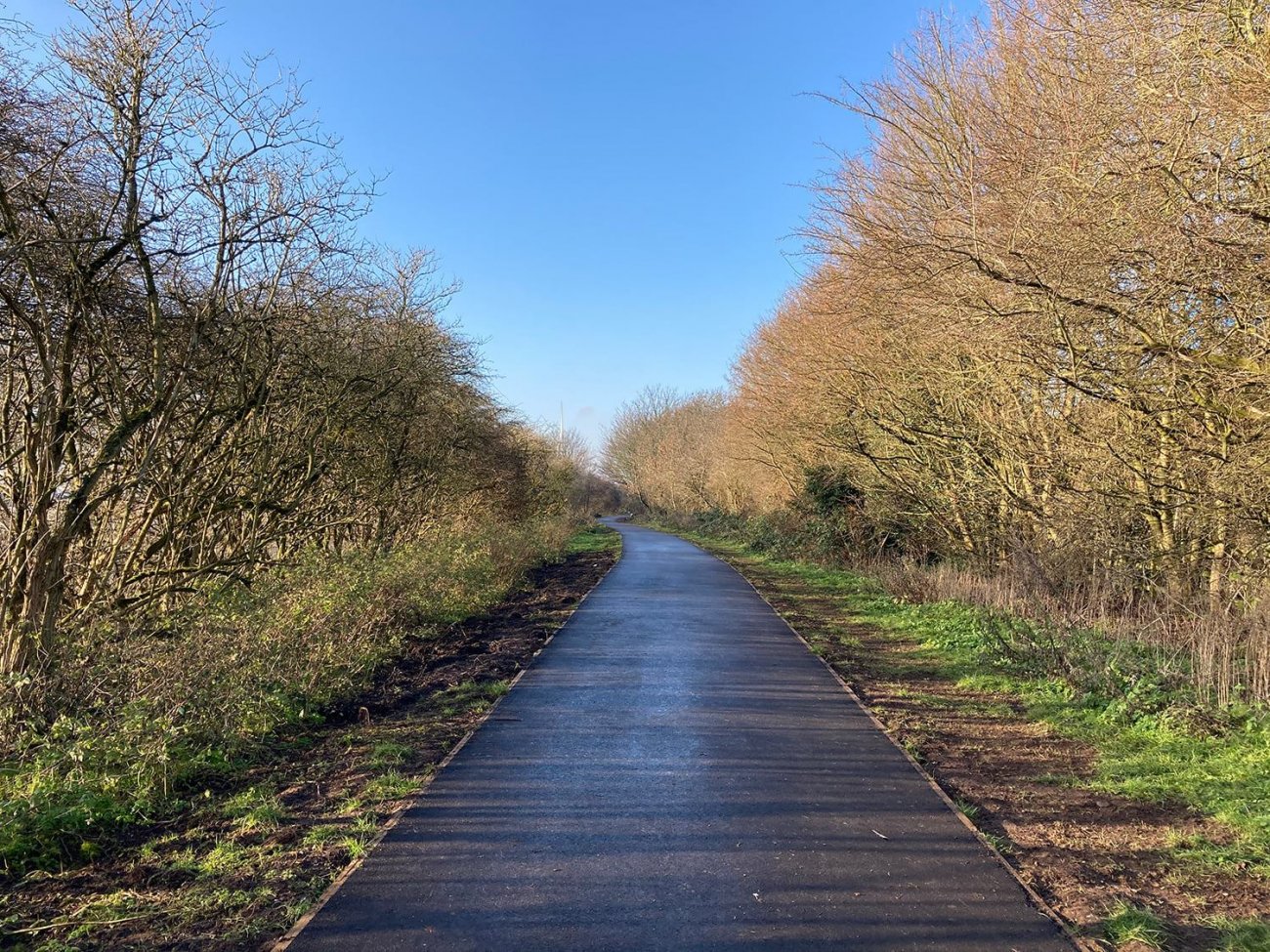 Photograph of Linear Park path