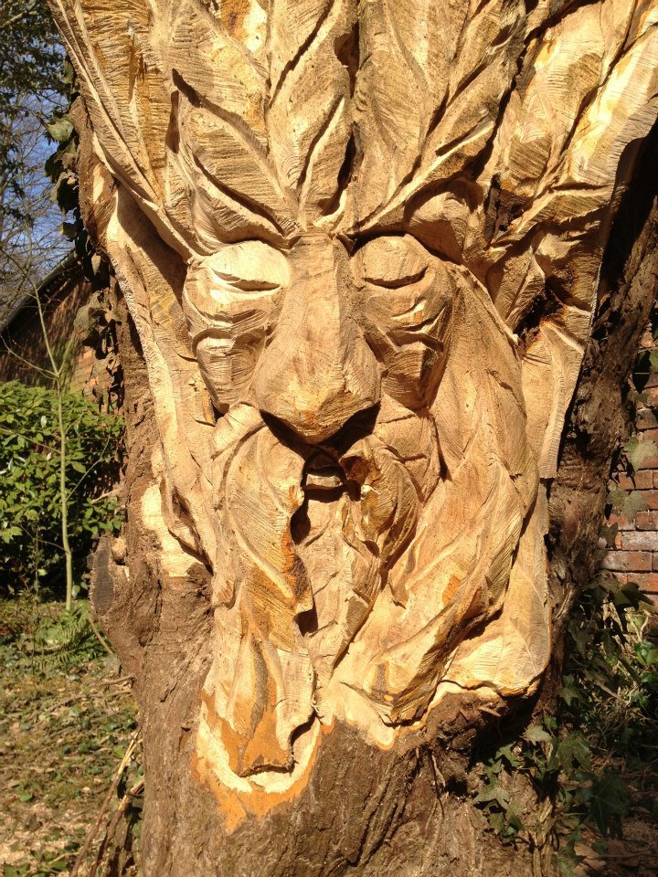 Photograph of Sensory Garden tree carving - close up 1