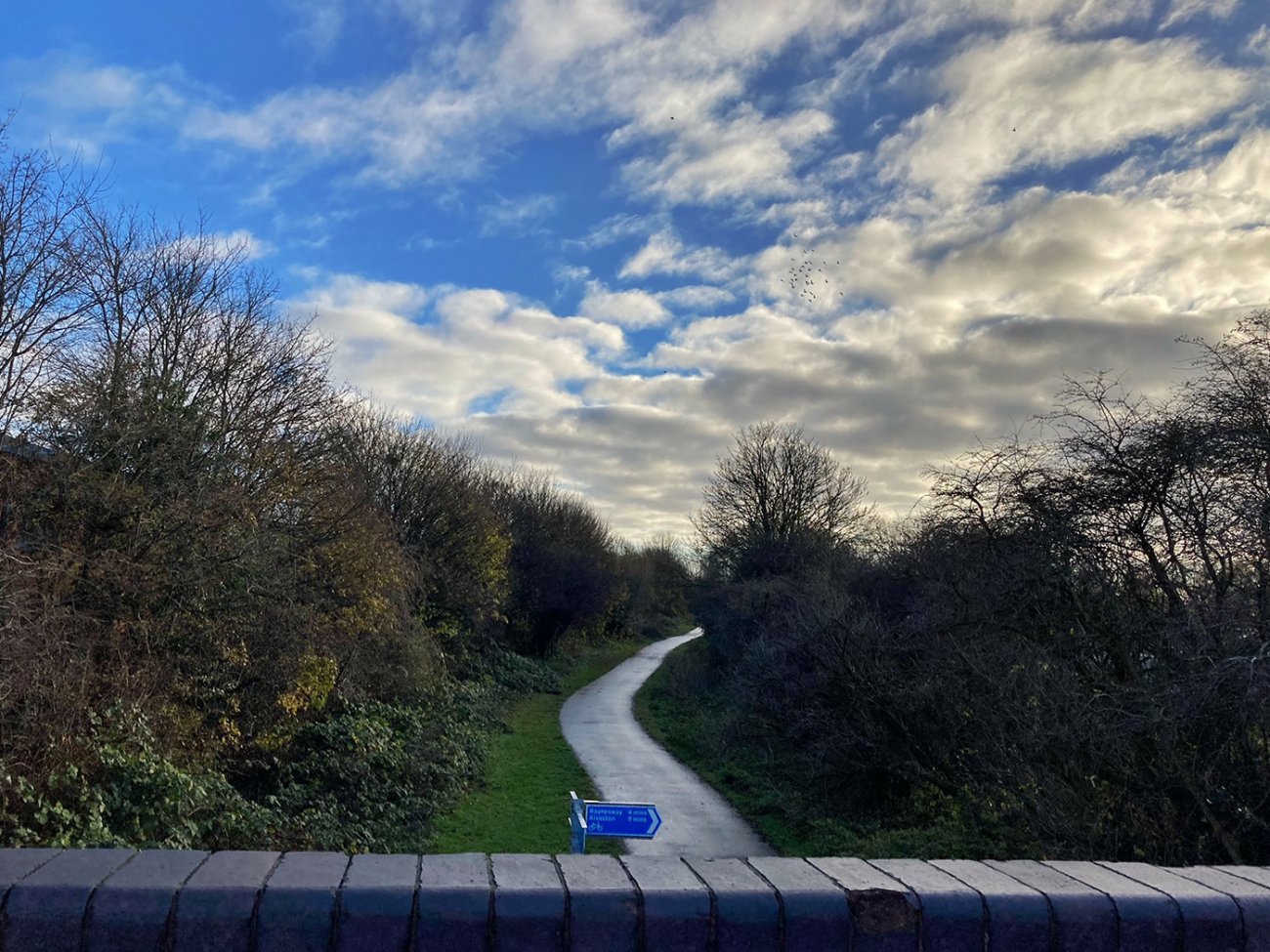 Photograph of Linear Park viewed from Station Road bridge