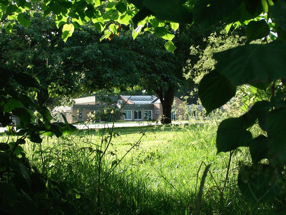 Photograph of St Werburgh's School and grounds