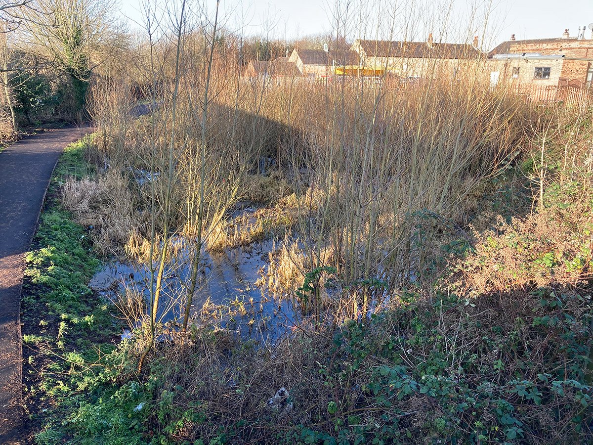 Photograph of Former canal winding hole