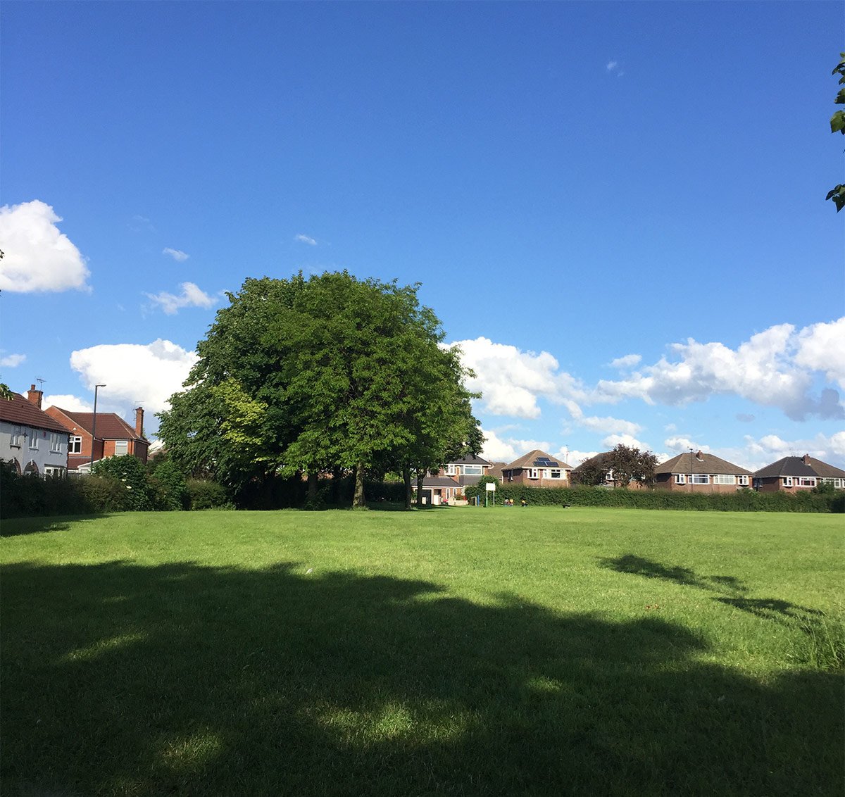 Photograph of Summer on South Avenue Rec