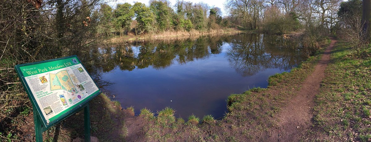 Photograph of West Park Meadows pond - panoramic