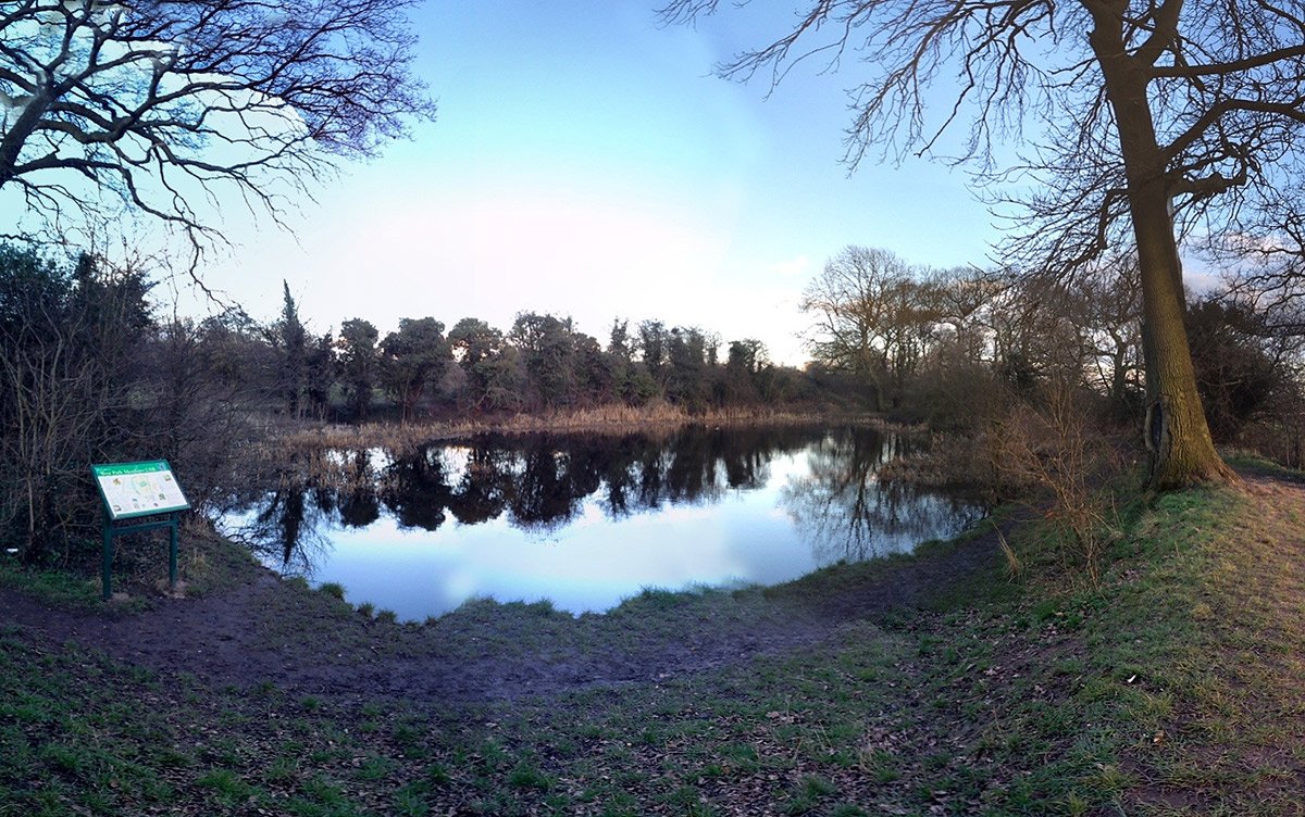 Photograph of West Park Meadows pond - panoramic