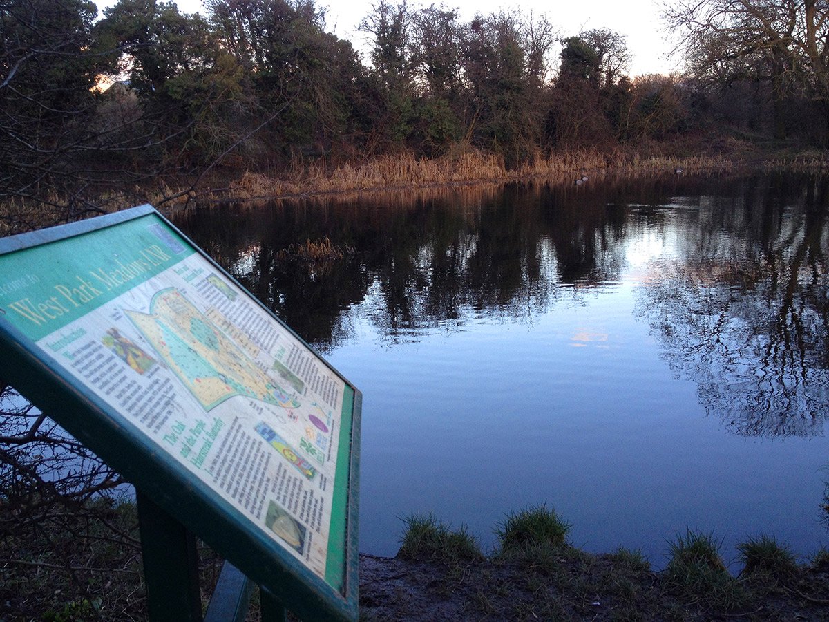 Photograph of West Park Meadows pond information board